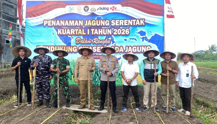 Pemkab Ketapang Bersama Polres Laksanakan Penanaman Jagung Serentak Kuartal I 2026 Dukung Ketahanan Pangan