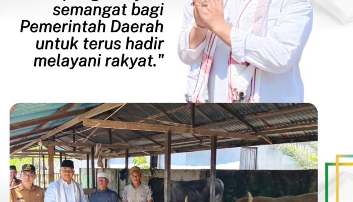 Bupati Ketapang Serahkan Dua Ekor Sapi Kurban Presiden Untuk Masyarakat Pantai Selatan Ketapang