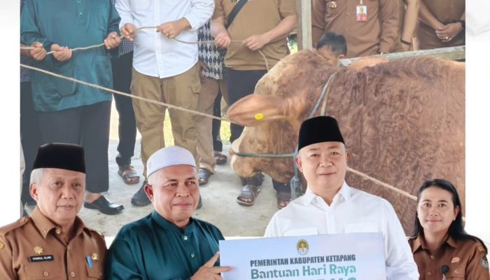 Bupati Ketapang Serahkan Hewan Kurban Dan Ajak Masyarakat Perkuat Semangat Kebersamaan