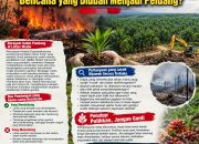 Kebakaran Hutan dan Gagasan Sawit: Bencana yang Diubah Menjadi Peluang?